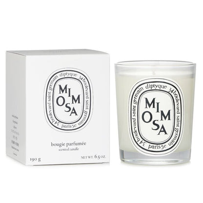 Diptyque Scented Candle - Mimosa 190g